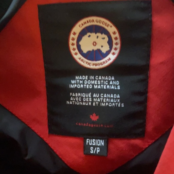 Canadian Goose - Picture 8 of 12